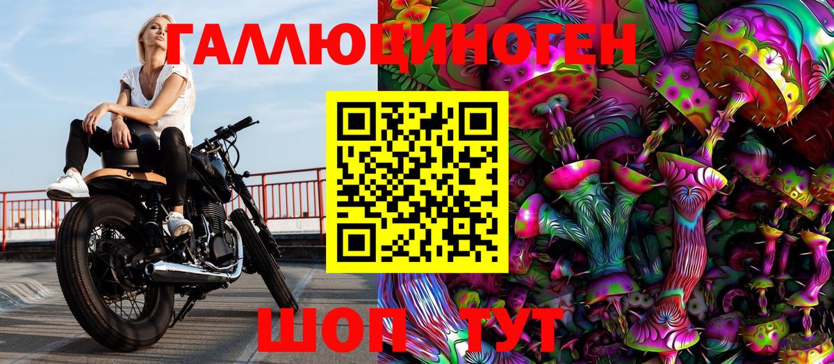 Галлюциногенные грибы MAGIC MUSHROOMS  Вход с VPN  Городец  Псилоцибиновые грибы прущие грибы 